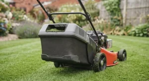 Large grass collection box attached to a self-propelled lawn mower, perfect for tidying the lawn.