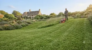 Illustration of a neatly cut hilly garden achieved using a reliable hover mower for slopes.
