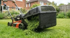 Close up of a rotary mower collecting grass clippings into a large collection box.