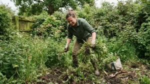Tackling tough garden weeds and long grass with a high-value rechargeable grass trimmer.