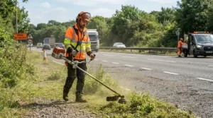 Council contractor operating a petrol strimmer for professional use on a roadside grass verge