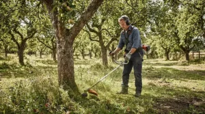 Trimming grass around fruit trees in a country orchard with petrol strimmers under £300 and reliable engine displacement.