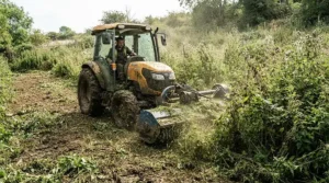 Clearing heavy, overgrown weeds and thick brush using a powerful petrol strimmer.